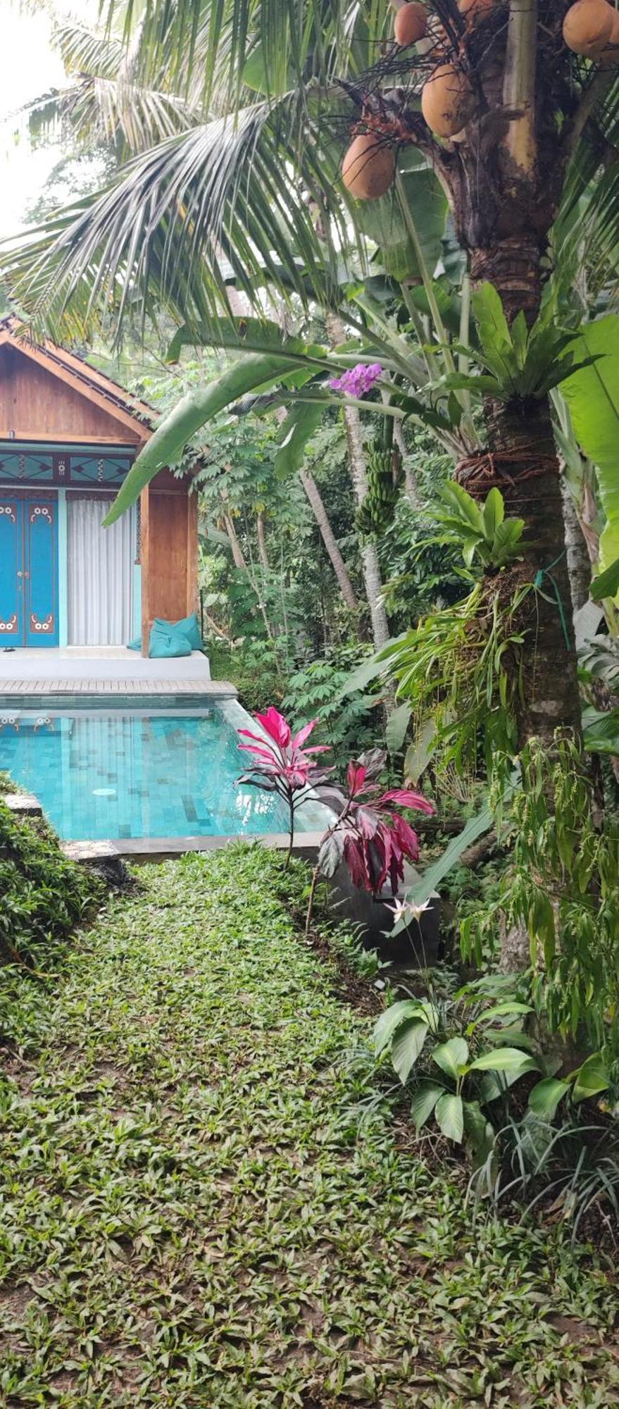 Rumah Guci Убуд Екстер'єр фото